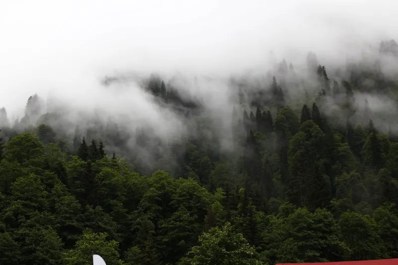Ayder
